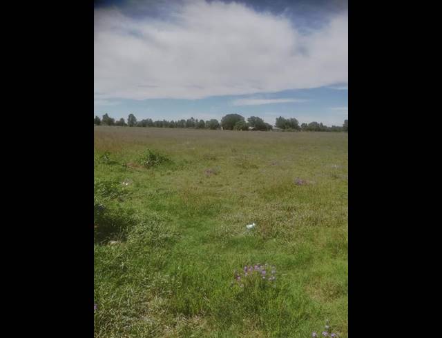 FARM FOR SALE IN ROODIA